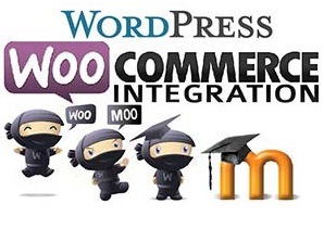 WordPress Woocommerce