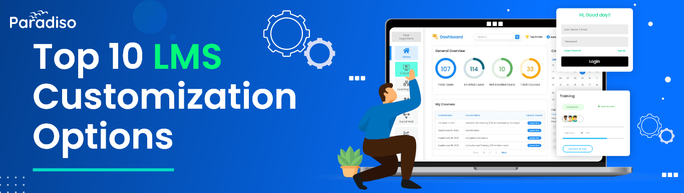 Top 10 LMS Customization Options