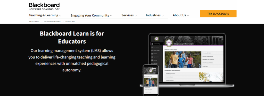 Best Learning Management System Examples for 2026