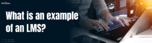 What is an example of an LMS