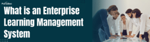 What is an Enterprise LMS