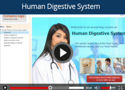 human digestive slide