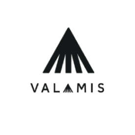 Valamis learning experience solution