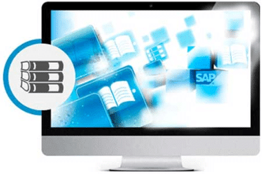 Courses Embedded in SAP ERP LMS