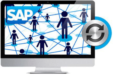 Sync Employee Data with SAP ERP LMS integration