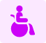Disability Access and Multilingualism
