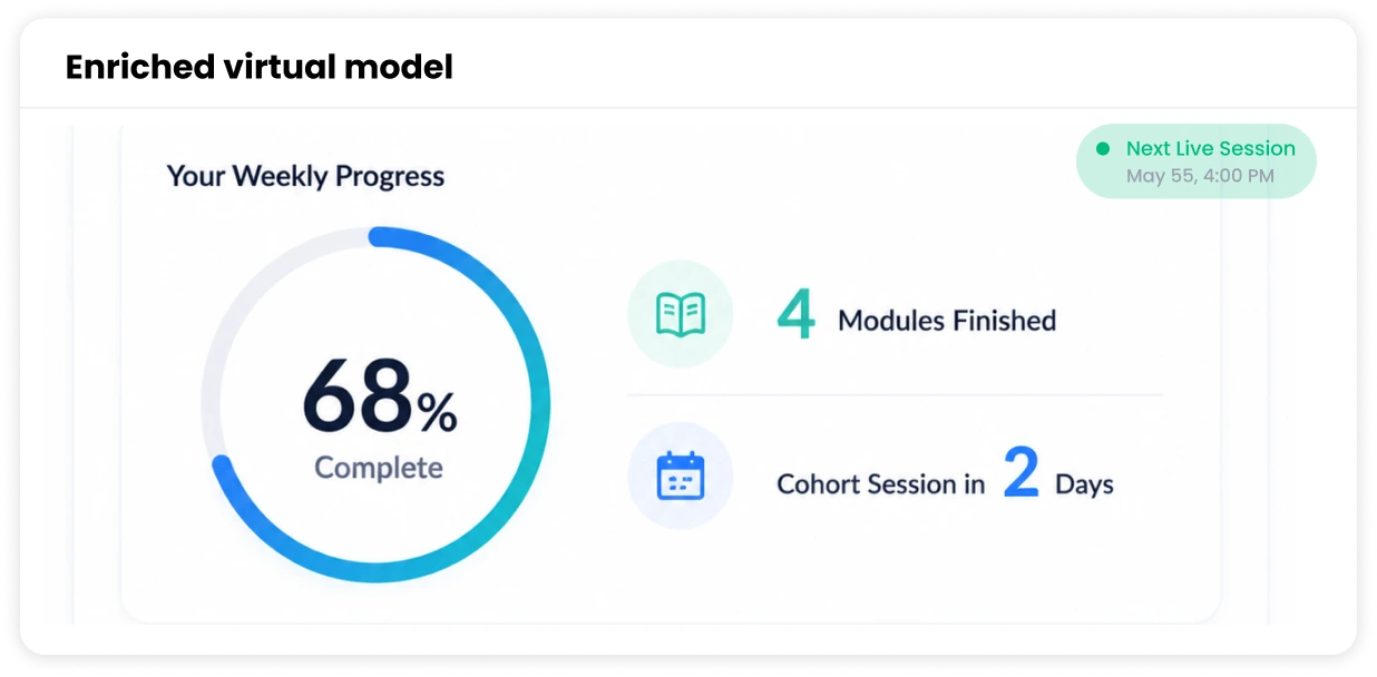 Enriched virtual model